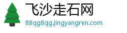 飞沙走石网